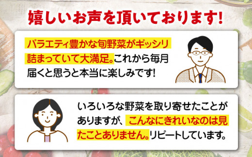 【シェフの目線】栽培期間中農薬不使用！大満足 旬のお野菜セット