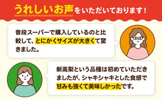 フルーツ王国愛媛県からお届け！「梨の王様」特大新高 梨 2kg（4個から6個入り）　