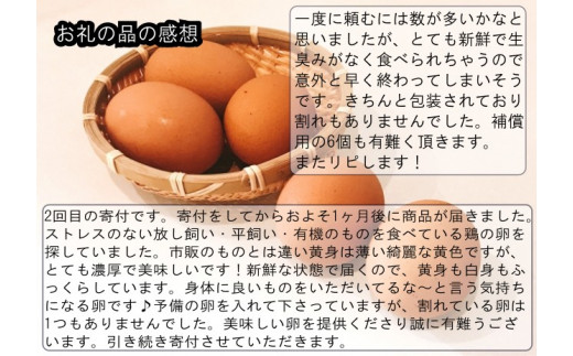 信州小川村　有機飼料を食べて育った、栄養たっぷりの朝採れ卵を当日出荷