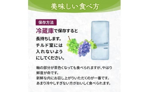 №5615-0165]訳あり 辻葡萄園 の ニュー ピオーネ ご家庭用 満杯詰め 約4kg 岡山県産 ぶどう 葡萄 果物 フルーツ - 岡山県高梁市｜ ふるさとチョイス - ふるさと納税サイト