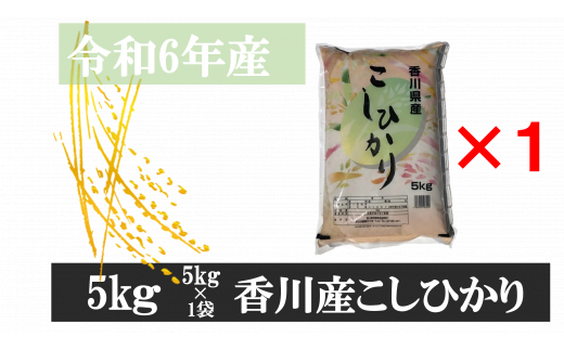 995-4　令和6年産香川県産こしひかり　5ｋｇ　紙袋配送【4月配送】 783694 - 香川県三木町