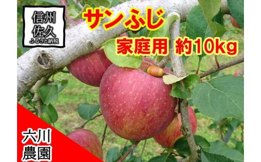 家庭用 サンふじ約10kg（１箱　28・32・36・40・46・50個入り） りんご フルーツ 果物〈出荷時期:2024年12月1日～12月25日〉【 当園にて愛情たっぷりに育てたりんご 長野県 佐久市 六川農園】 1472653 - 長野県佐久市