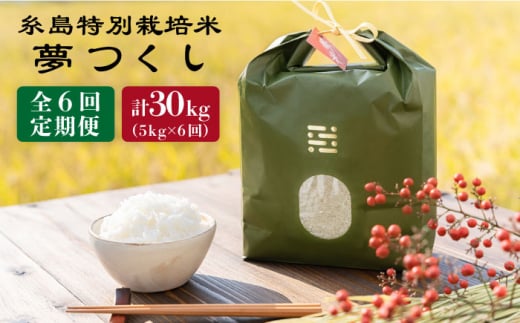 【 6回 定期便 】 とくべつ の中の とくべつ 糸島 特別栽培米 5kg （ 夢つくし ）《 糸島 》【株式会社やました】 [ARJ007] 408169 - 福岡県糸島市