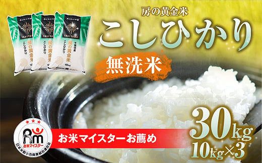 【新米】令和6年産 房の黄金米「コシヒカリ」30kg(10kg×3袋) 千葉県 山武市 ふるさと納税 SMBR006