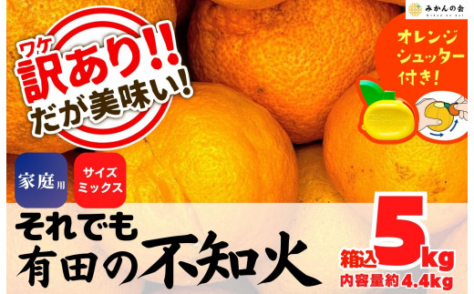 不知火 訳あり それでも 有田の不知火 箱込 5kg(内容量約 4.4kg) サイズミックス 和歌山県産 産地直送［みかんの会］