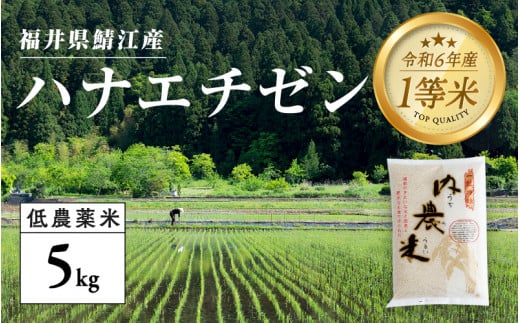 【令和6年産の新米！】福井県産 内農米 華越前 5kg＋黒米300g [B-00522]　/ ハナエチゼン 減農薬米 有機栽培 白米 新米 白米 精米 ご飯 コメ ごはん ライス 産地直送 鯖江市 381629 - 福井県鯖江市