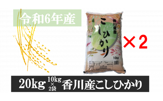 896-8　令和6年産香川県産こしひかり　10ｋｇ×2　紙袋配送　【8月配送】 784904 - 香川県三木町