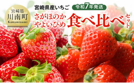 令和7年発送　宮崎県産いちご「さがほのか＆やよいひめ」食べ比べセット 【 先行予約 期間限定 果物 イチゴ 苺 フルーツ 】