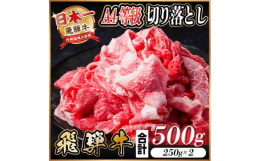 飛騨牛 A4等級 切り落とし 500g【1545103】