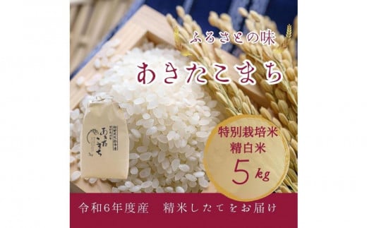 【11月中旬より発送予定】令和6年度産　特別栽培米「あきたこまち」精白米5kg 1472109 - 秋田県大仙市