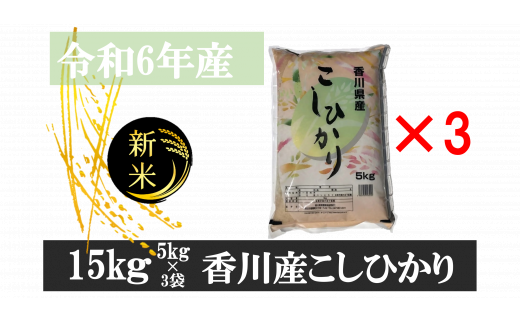 893-10　令和6年産香川県産こしひかり　5ｋｇ×3　紙袋配送　【10月配送】 783497 - 香川県三木町