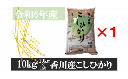 996-6　令和6年産香川県産こしひかり　10ｋｇ×1　紙袋配送【6月配送】 783708 - 香川県三木町