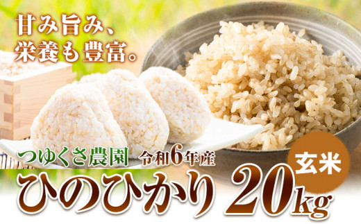 新米 令和6年産 ひのひかり 玄米20kg  熊本県荒尾市産 つゆくさ農園 《30日以内に出荷予定(土日祝除く)》 800554 - 熊本県荒尾市