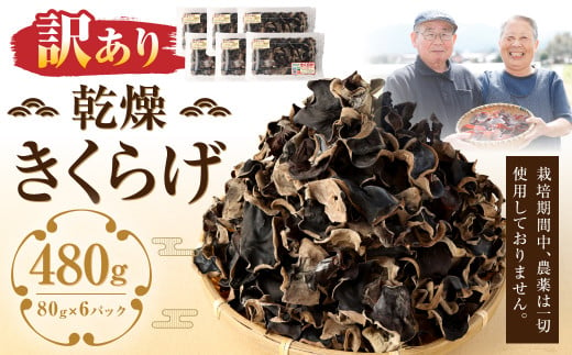 【訳あり】 乾燥きくらげ 480g （80g×6パック） 熊本県 乾燥 きくらげ キクラゲ 木耳 きのこ キノコ 国産 人吉市産 1435861 - 熊本県人吉市