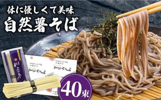 手延べ自然薯そば 2kg（250g×8袋）/ 南島原市 / 川上製麺 [SCM068]
