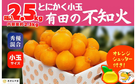 不知火 とにかく 小玉 箱込 2.5kg (内容量約 2.3kg) 秀優品混合 和歌山県産 産地直送［みかんの会］