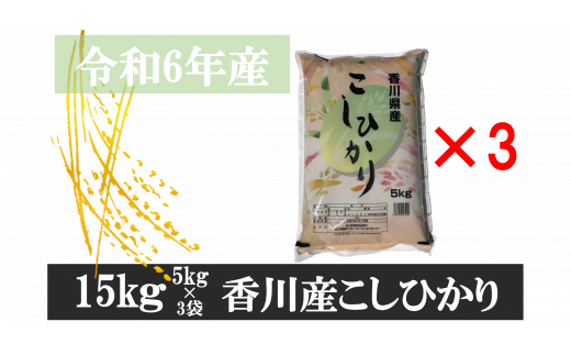 893-6　令和6年産香川県産こしひかり　5ｋｇ×3　紙袋配送　【6月配送】 784892 - 香川県三木町