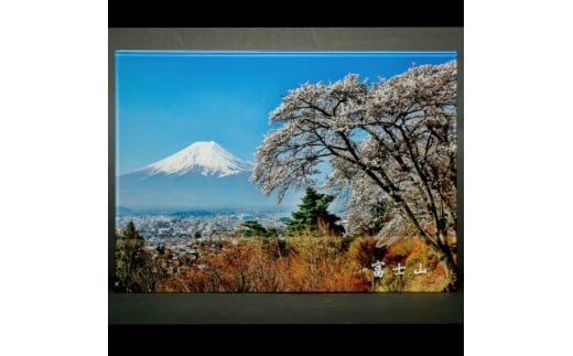 富士山アクリルパネル　A4　春【1542295】 1475589 - 山梨県山梨県庁