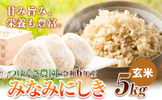 新米 令和6年産 みなみにしき 玄米 5kg  熊本県 荒尾市産 米 玄米 選べる つゆくさ農園 《30日以内に出荷予定(土日祝除く)》 米 こめ コメ 玄米 1235029 - 熊本県荒尾市