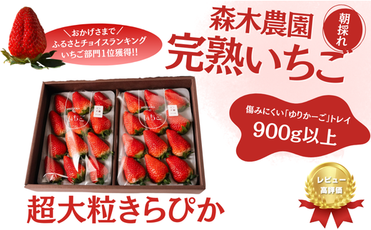 060-31 【1月～4月発送】最高の贅沢をあなたに・・・森木農園が育てる『超大粒きらぴ香』2トレイ　合計900ｇ以上