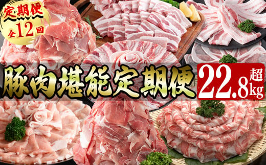 【定期便全12回】豚肉堪能定期便(12ヶ月連続・総量22.8kg以上) 豚 豚肉 肉 国産 九州産 しゃぶしゃぶ 焼肉 豚バラ ロース 切り落し 大容量 人気 小分け 真空包装 t0142-001