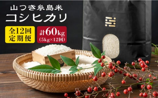 【全12回定期便】糸島 で 農薬 を使わずに育てた 山つき 糸島米 5kg （ コシヒカリ ）《糸島》【itoshimacco / 株式会社やました】 [ARJ036] 412905 - 福岡県糸島市