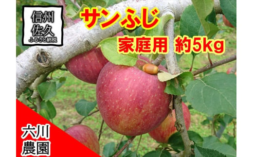 家庭用　サンふじ約5kg（1箱　14・16・18・20・23・25個入り）　りんご　フルーツ　果物〈出荷時期:2024年12月1日～12月25日〉【 当園にて愛情たっぷりに育てたりんご 長野県 佐久市 】 1472652 - 長野県佐久市