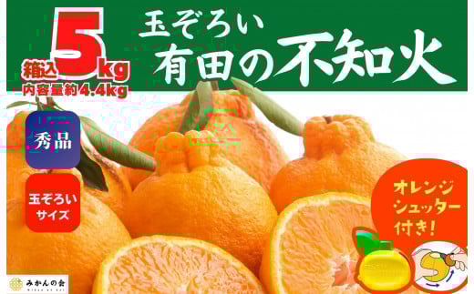 不知火 (しらぬい) 秀品 玉ぞろい 箱込 5kg (内容量約4.4kg)  和歌山県産 産地直送［みかんの会］