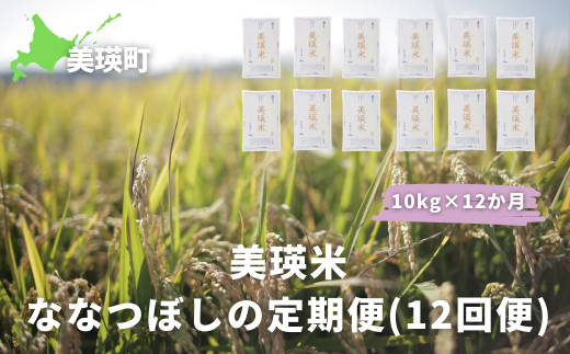 【数量限定！】ＪＡびえい　令和６年産　美瑛米ななつぼしの定期便(10kg×12回便)[240-01]  1475703 - 北海道美瑛町