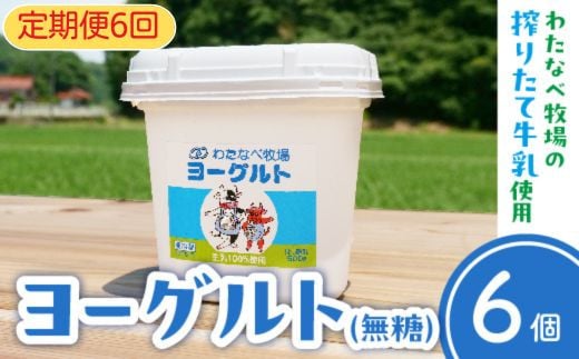 【定期便6回】ヨーグルト500ｇ（プレーン）6個セット【無糖 ネッカ牛乳 ノンホモ製法】 1472505 - 島根県安来市