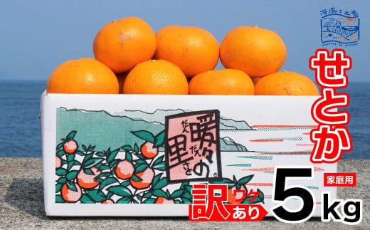 訳あり せとか 家庭用 5kg ｜産地直送 国産 柑橘 期間限定 数量限定 ご当地 愛媛県 松山市 1485102 - 愛媛県松山市