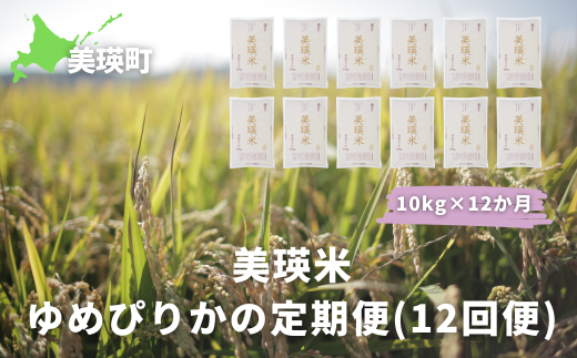 【数量限定！】ＪＡびえい　令和６年産　美瑛米ゆめぴりかの定期便(10kg×12回便)[252-01]  1475708 - 北海道美瑛町