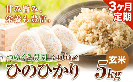 【3ヶ月定期便】新米 令和6年産  ひのひかり 玄米5kg 熊本県荒尾市産 つゆくさ農園 《お申込み月の翌月から出荷開始》