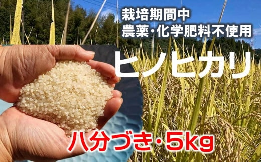 [栽培期間中農薬化学肥料不使用]きれいな山水で育てたヒノヒカリ 八分づき(5kg)≪令和6年度 新米 臼杵市産≫