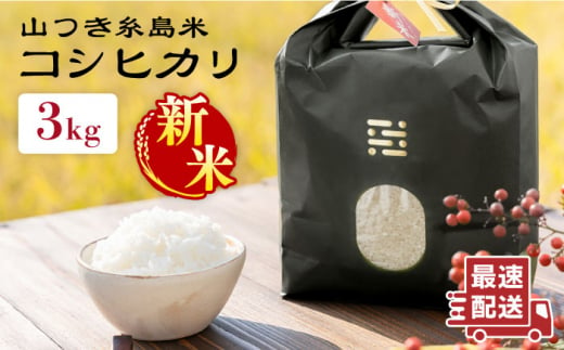 【お歳暮対象】糸島 で 農薬 を使わずに育てた 山つき 糸島米 3kg （ コシヒカリ ）《 糸島 》【株式会社やました】 [ARJ009] 408171 - 福岡県糸島市