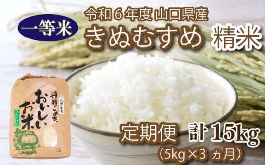 [ 定期便 3ヶ月 ]米 5kg 計 15kg きぬむすめ 新米 精米 白米 お米 月1回お届け 大容量 下関 山口