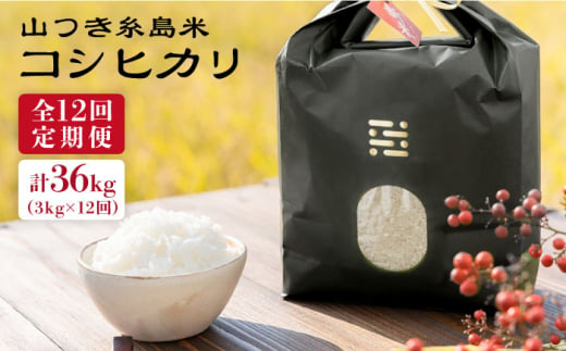 【全12回定期便】糸島 で 農薬 を使わずに育てた 山つき 糸島米 3kg （ コシヒカリ ）《糸島》【itoshimacco / 株式会社やました】 [ARJ030] 412899 - 福岡県糸島市