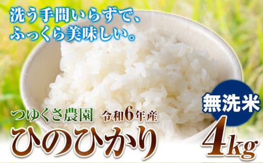 新米 令和6年産 ひのひかり 無洗米4kg 熊本県荒尾市産 つゆくさ農園 《30日以内に出荷予定(土日祝除く)》 1235076 - 熊本県荒尾市