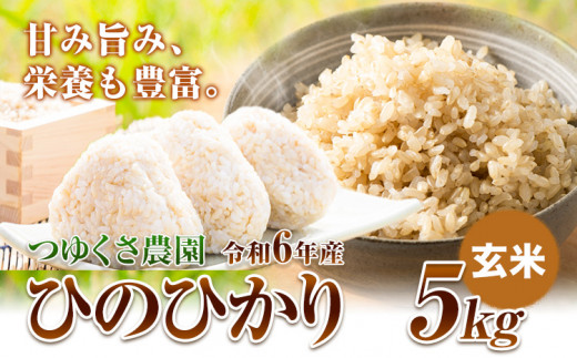 新米 令和6年産 ひのひかり  玄米5kg 熊本県荒尾市産 つゆくさ農園 《30日以内に出荷予定(土日祝除く)》 800552 - 熊本県荒尾市