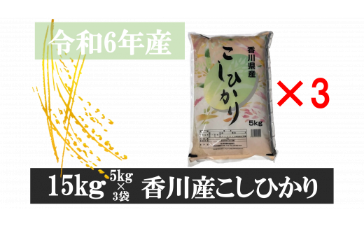 893-3　令和6年産香川県産こしひかり　5ｋｇ×3　紙袋配送　【3月配送】 784888 - 香川県三木町