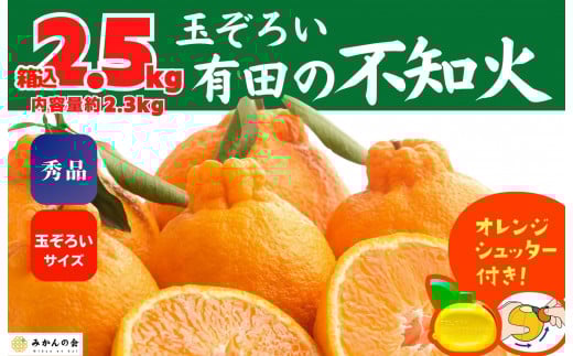 不知火 (しらぬい) 秀品 玉ぞろい 箱込 2.5kg (内容量約2.3kg)  和歌山県産 産地直送［みかんの会］