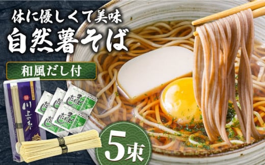 【2025年1月中旬より順次発送】手延べ自然薯 そば 250g（2～3人前）和風だし付 / 蕎麦 そば ソバ 乾麺 麺 自然薯 2000円 2000 / 南島原市 / 川上製麺 [SCM018] 497990 - 長崎県南島原市