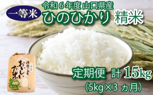 [ 定期便 3ヶ月 ]米 5kg 計 15kg ひのひかり 新米 精米 白米 お米 月1回お届け 大容量 下関 山口 ヒノヒカリ