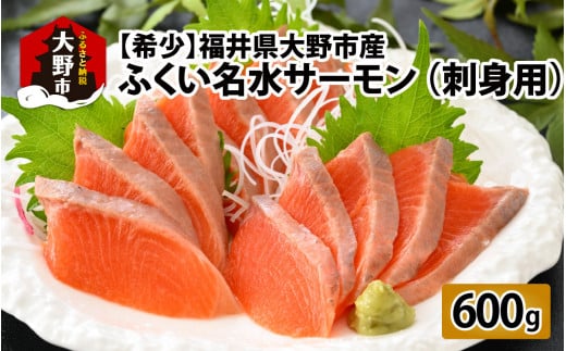 【希少】福井県大野市産 ふくい名水サーモン 片身 約600g（生食・加熱用）真空冷凍 [A-014010]