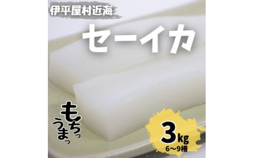 もちっと食感 セーイカ 3kg(6～9柵)【1544700】 1475572 - 沖縄県伊平屋村