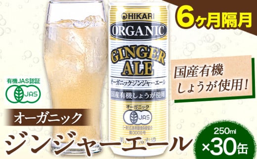 【6ヶ月隔月定期便】 ジンジャーエール 250ml×30缶 光食品株式会社 定期 隔月 計6回お届け 《お申込み月の翌月から出荷開始》 徳島県 上板町 ジュース 炭酸水 光食品 ジンジャーエール オーガニック 有機 1498351 - 徳島県上板町