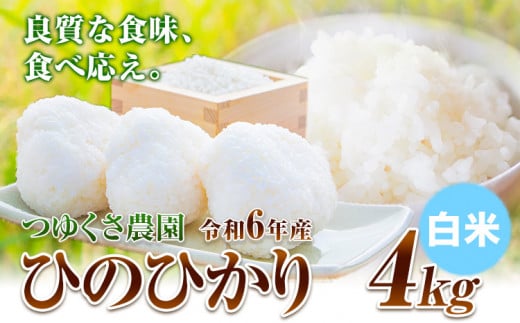 新米 令和6年産 ひのひかり  白米4kg 熊本県荒尾市産 つゆくさ農園 《30日以内に出荷予定(土日祝除く)》