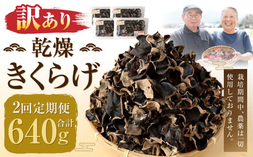 【訳あり】【2ヶ月定期便】 乾燥きくらげ 320g （80g×4パック）×2回 合計640g 熊本県 乾燥 きくらげ キクラゲ 木耳 きのこ キノコ 国産 人吉市産  1435858 - 熊本県人吉市