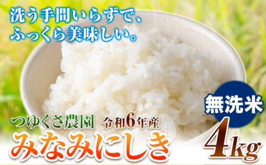 新米 令和6年産 みなみにしき 無洗米 4kg  熊本県 荒尾市産 つゆくさ農園 米 選べる 《30日以内に出荷予定(土日祝除く)》 米 こめ コメ 白米 1235028 - 熊本県荒尾市