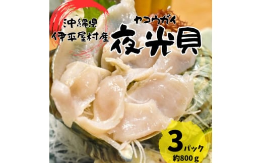 夜光貝 3パック 800g(1パックあたり200g～300g)【1544708】 1475573 - 沖縄県伊平屋村